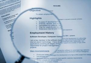 employment history